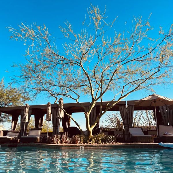Swimming Pool at the Four Seasons Scottsdale